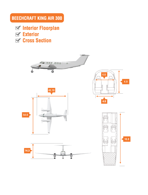 Beechcraft King Air 300