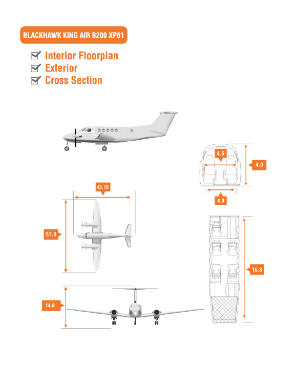 Blackhawk King Air B200 XP6